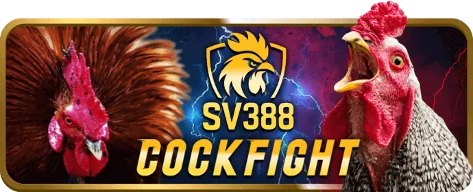 Sứ mệnh Sking88 - Công bằng và An toàn
